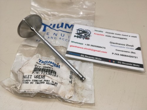 T1130121 genuine triumph - t1130121,