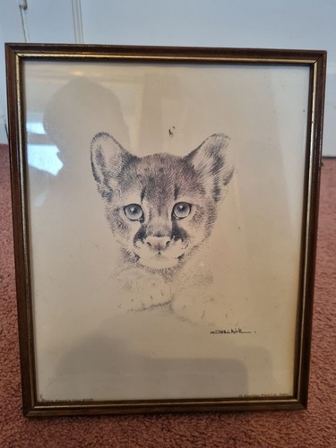 Vintage joel kirk - framed, art
