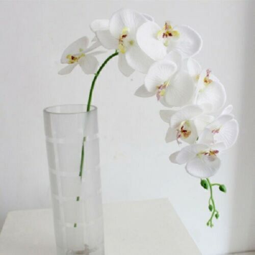 Artificial butterfly orchid - artificial,