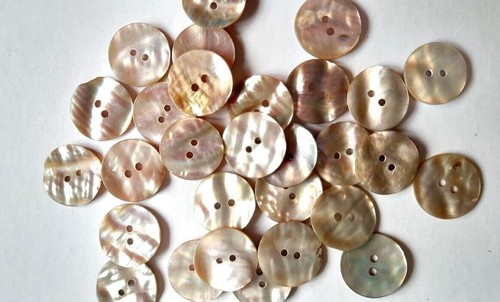 Awabi natural shell buttons - 10,