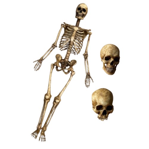 Scale human beings - 1:6,