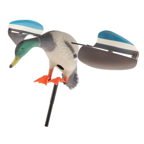 Mallard drake duck decoy - mallard,