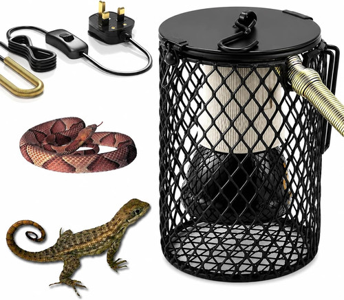 Reptile heat lamp - reptile,