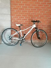 Ladies bicycle - ladies,