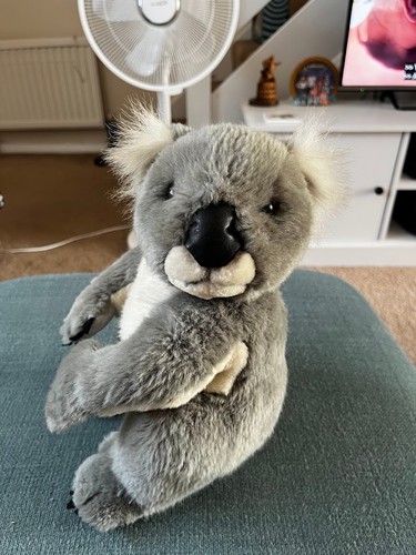 Koala bear grey - grey, white