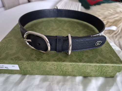Gucci large extra - large/extra, pet