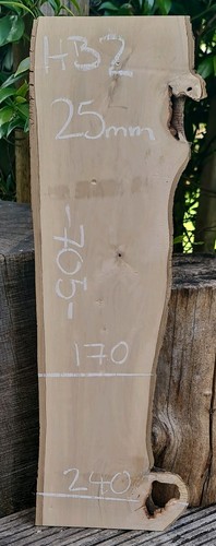 Hornbeam live edge - hornbeam, slab
