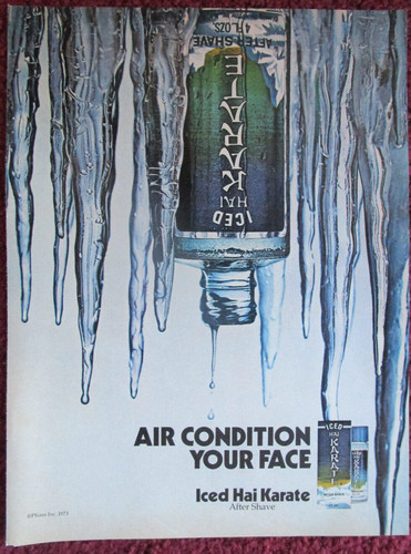 1973 hai karate iced - karate, after