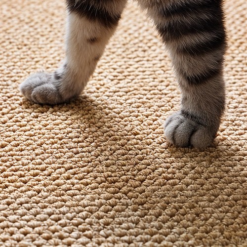 Cat scratching mat sisal rug - cat,