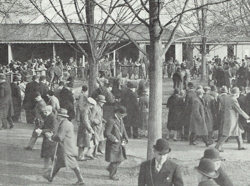 Gatwick racecourse the - gatwick,