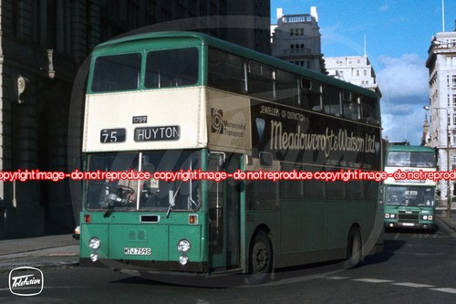 Bus photo merseyside - photo, pte