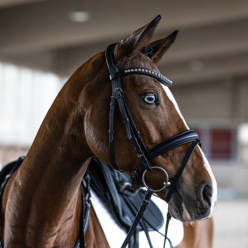 Kieffer essentials xia snaffle - kieffer,