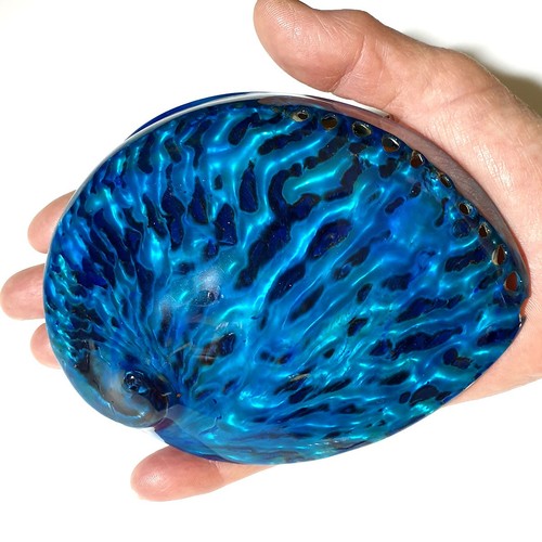 Aqua blue polished - aqua, abalone