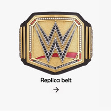 NEW Universal Championship