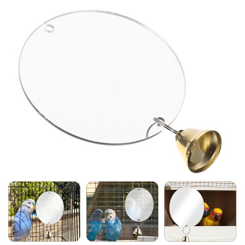 Parrot mirror bird - parrot, with
