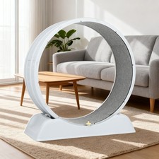 Cat Exercise Wheel Cat