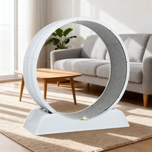 Cat exercise wheel - cat,