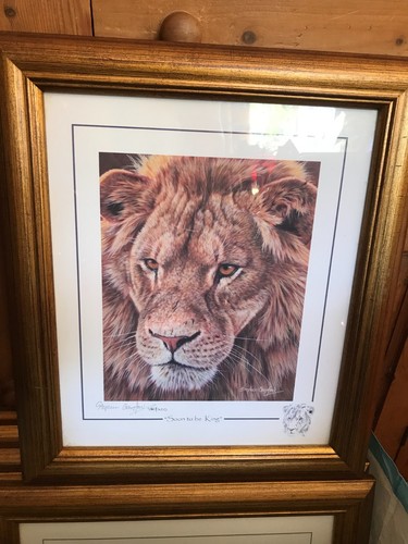 Stephen gayford signed limited - signed,