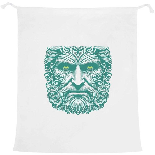 Head neptune laundry - neptune',