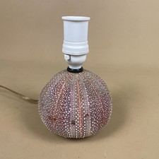 Vintage Shell Lamp Table Light