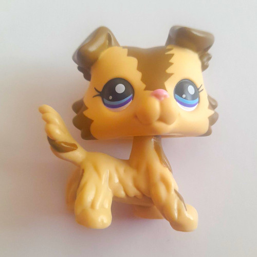 Fake littlest pet shop collie - pet,