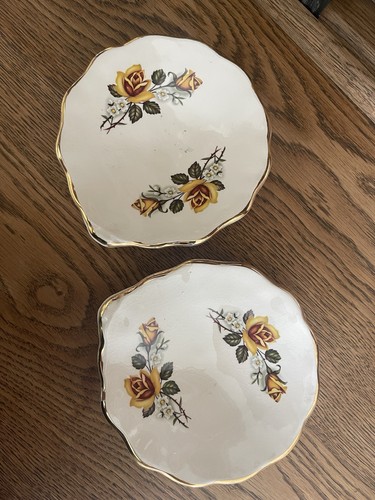 Rare vintage yellow rose - yellow, west