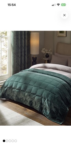 Next green lustre quilted - next,
