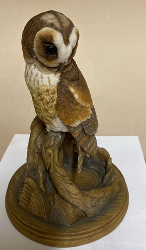Teviotdale birds large tawny - teviotdale,