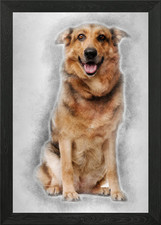 Cross breed dog 1 year old