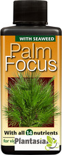 Palm focus plant food - focus,
