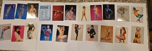 1993 hajime sorayama sexy - 1993,