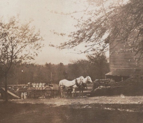 1920s horse drawn - horse,