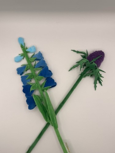 Hendry flowers from hong - flowers,