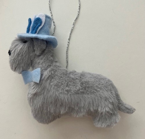 Cesky terrier for easter with - cesky,