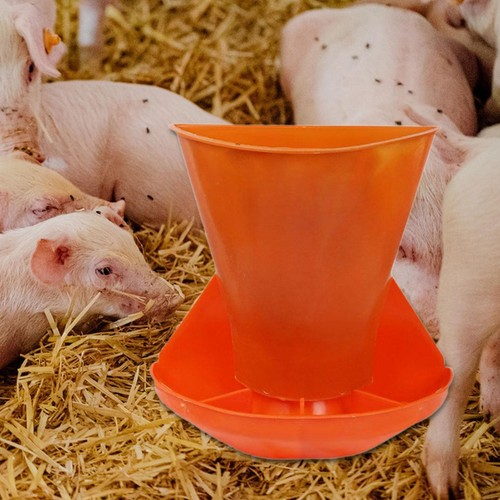 Pig feeder animal husbandry - pig,