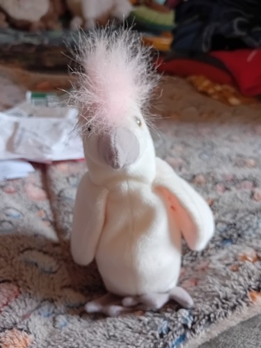 Beanie babies kuku the - ty,