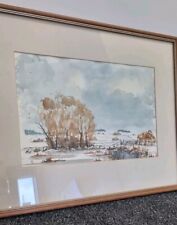 Framed Watercolour Painting Signed DB 89 Impressionist 21in X 17in 