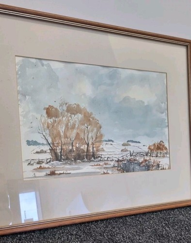 Framed watercolour painting - framed,
