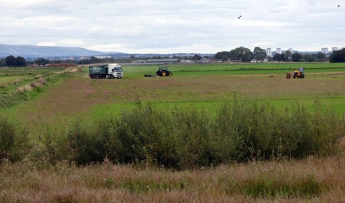 Photo 6x4 lawn turf harvesting - photo,