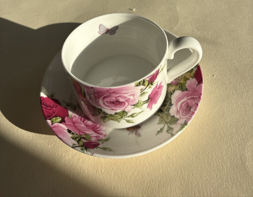 Bristol china company pink - bristol,