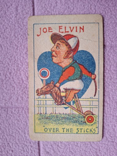Unknown issuer joe elvin - joe,