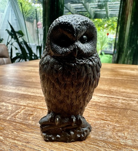 Vintage heredities owl dozing - heredities,