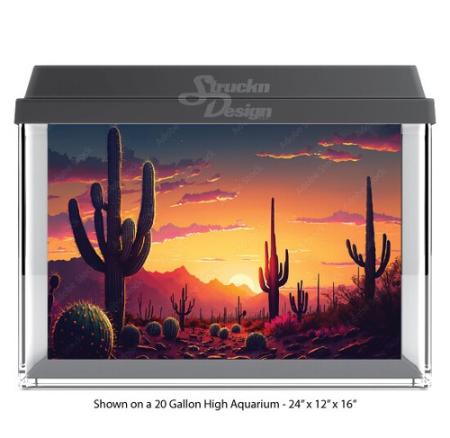 Southwest cactus desert - southwest,
