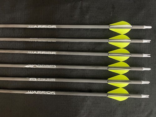 Gold tip warrior - tip,