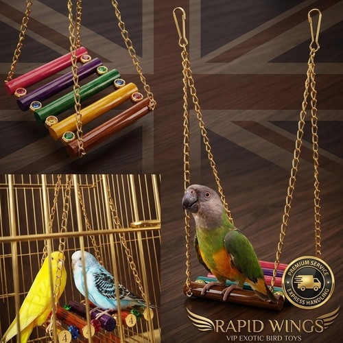 Pet bird parrot parakeet - bird,
