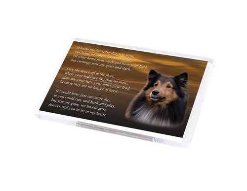 Sheltie dog fridge magnet - dog,