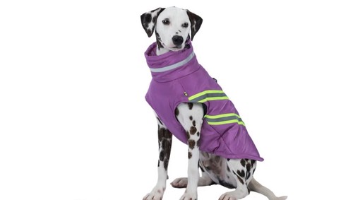 Dog coats waterproof winter - dog, waterproof,
