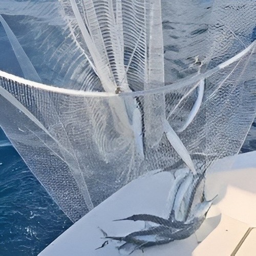 Ballyhoo hoop net - hoop, net,bait