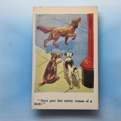 Comic postcard c1950 - postcard,