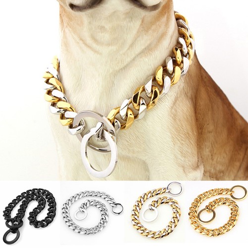 Heavy duty dog - dog, collar